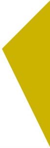 bg-yellow-2